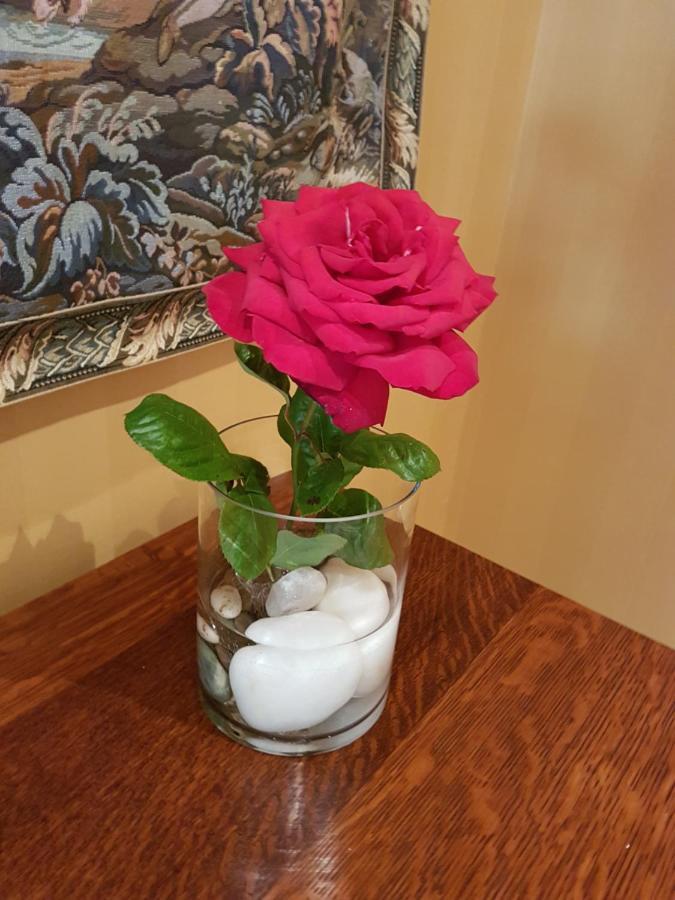 Fletcher Lodge 摩斯吉尔 外观 照片